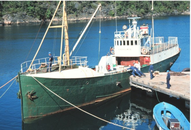 På vei inn i dokka rundt Nordkaia